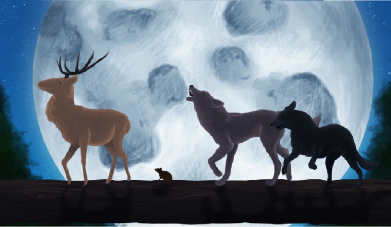 Specjal na 215 obserwacji! Dla Truskawek…