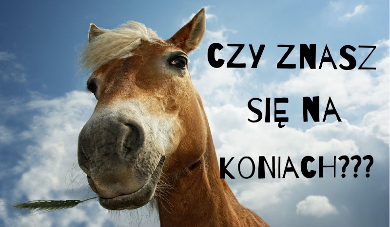 Czy znasz się na koniach?