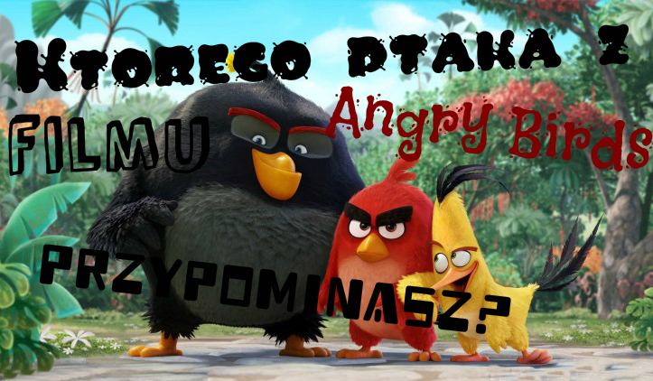 Którego ptaka z filmu ,,Angry Birds” przypominasz?