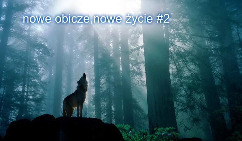 nowe obicze,nowe życie #2