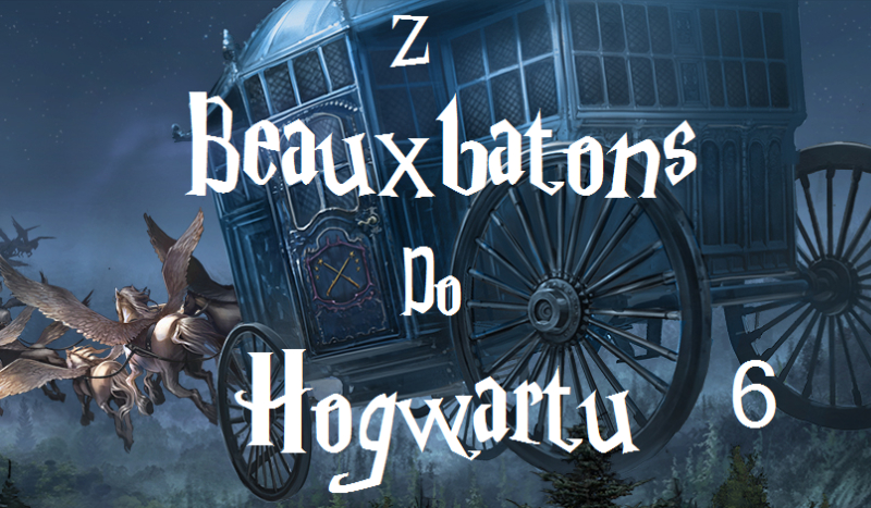 Z Beauxbatons do Hogwarty #6