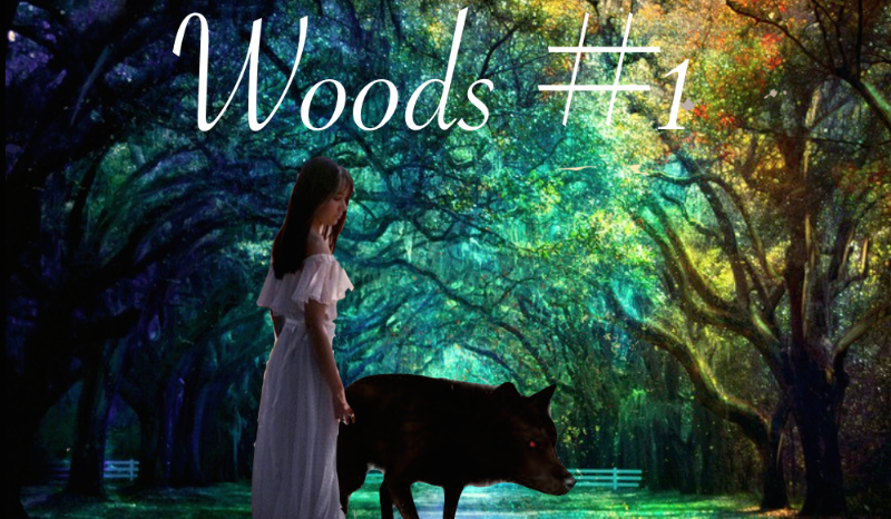 Woods #1
