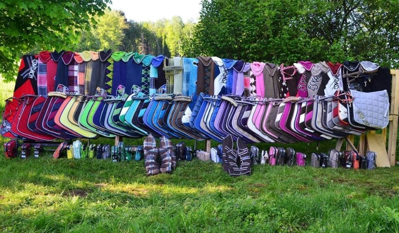 Jaki czaprak do ciebie pasuje