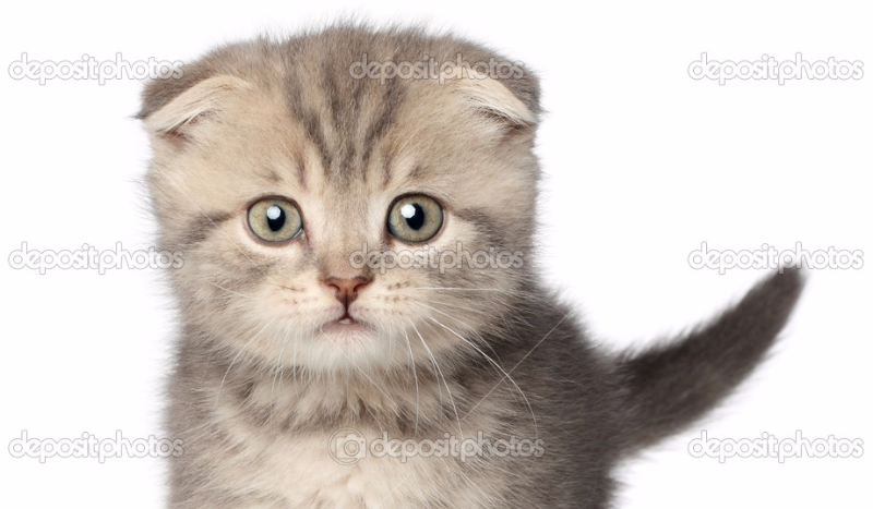 Miłosna opowieść #1