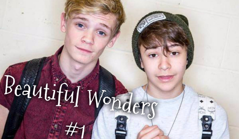 Beautiful Wonders