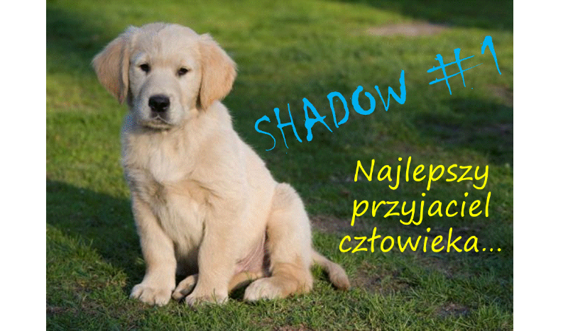 Shadow #1