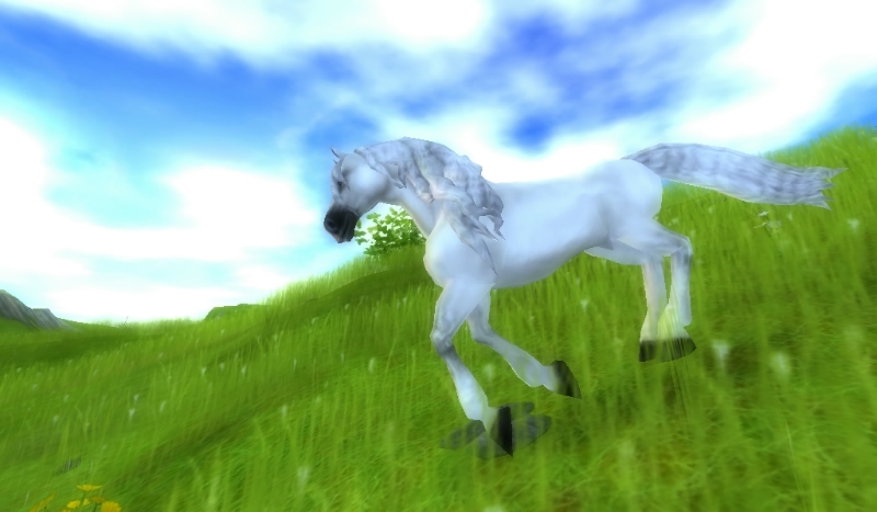 czy fryzy to konie twoich mażeń w sso?