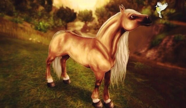 Jak dobrze znasz kanał: Mufinka i Fistaszek na yt?