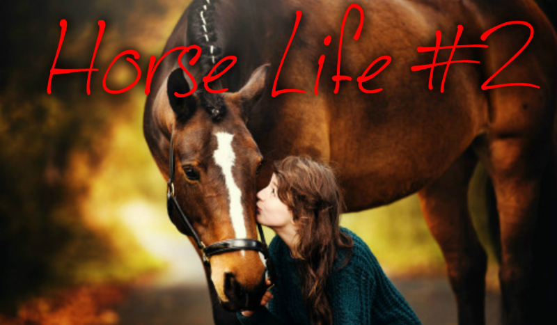Horse Life #2