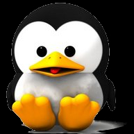 Pingwin24
