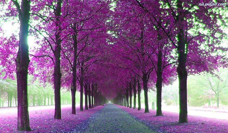 twoja przygoda z Drago jako ciocia Hrrego#5