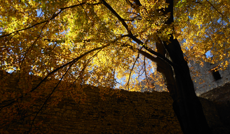 Mitologia według mnie