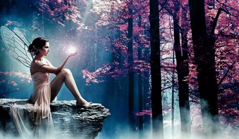 Magiczna Przygoda #1