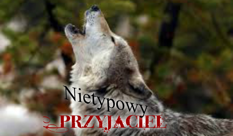 Nietypowy Przyjaciel #1