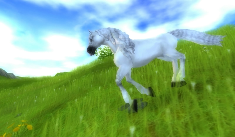 jak dobrze znasz gre star stable?