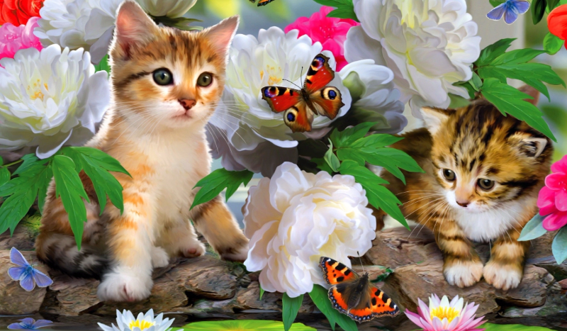 Czy jesteś zabawny ?