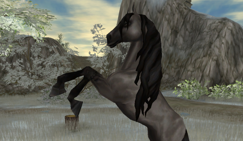 Jak kochasz StarStableOnline?