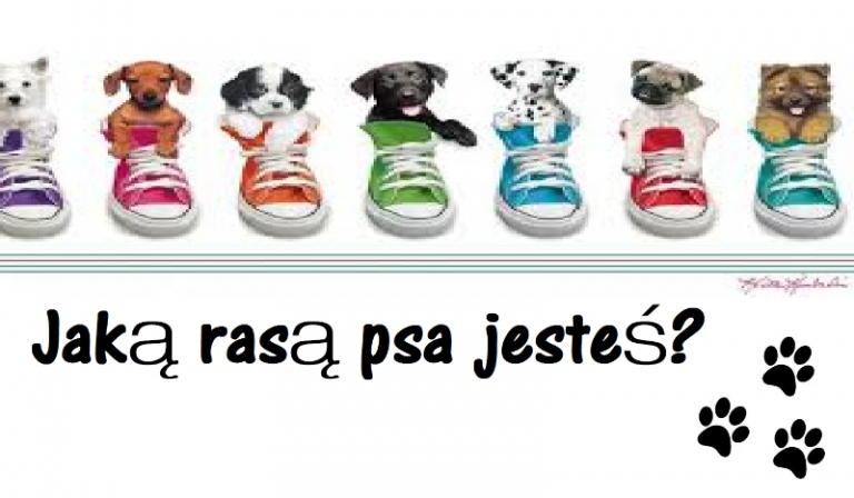 Jaką jesteś rasą psa?
