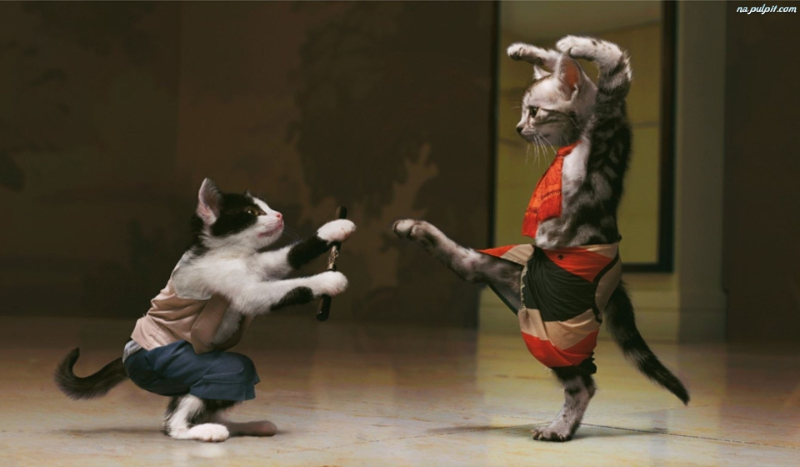 jaką postacią jesteś w lolu