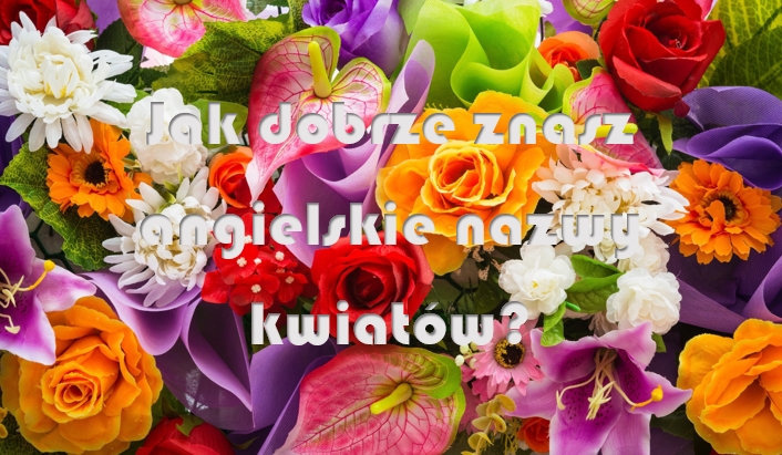 Jak dobrze znasz angielskie nazwy kwiatów?