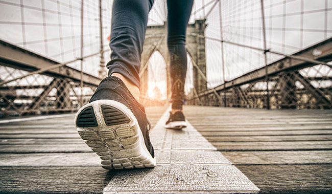 Zaginiona nadzieja #1