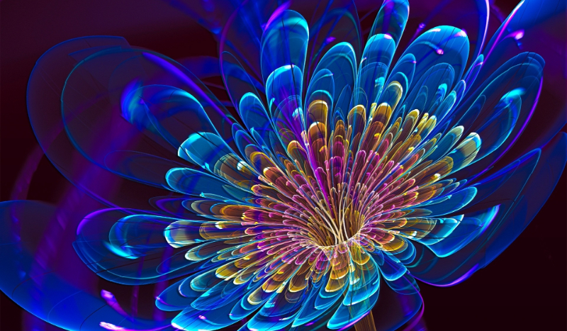 Jak dobrze znasz „Rywalki”?