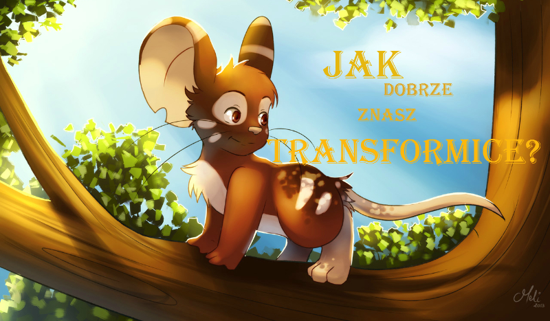 Jak dobrze Znasz ,,Transformice” ?