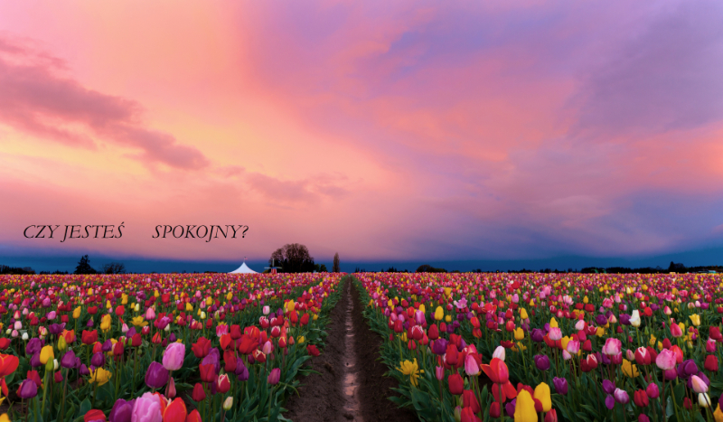 Czy  jesteś spokojny?