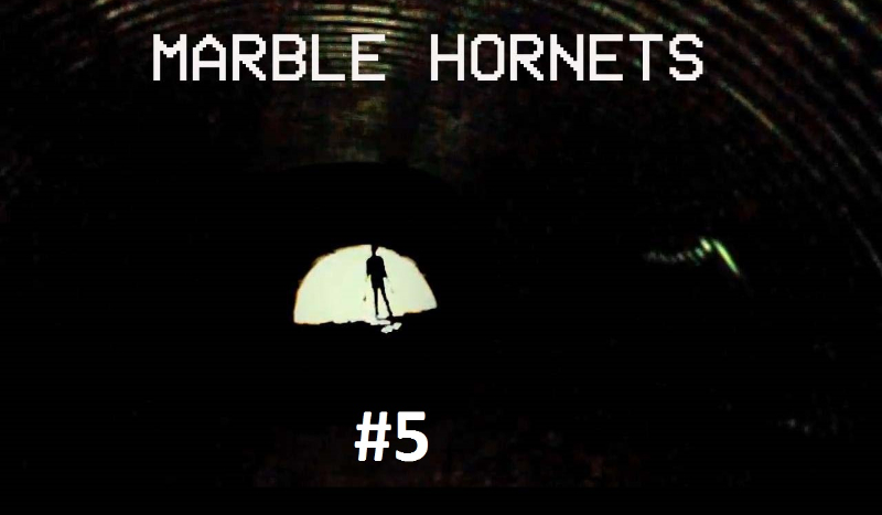 Marble Hornets #5 – nieidealni – KONIEC