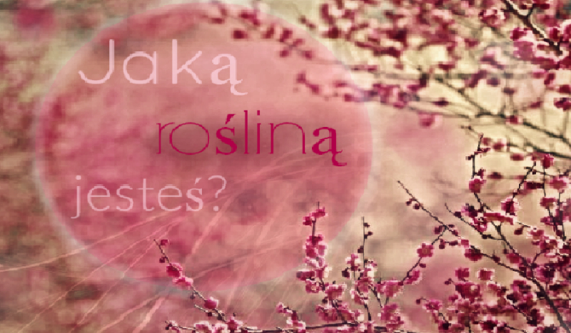 Jaką rośliną jesteś?