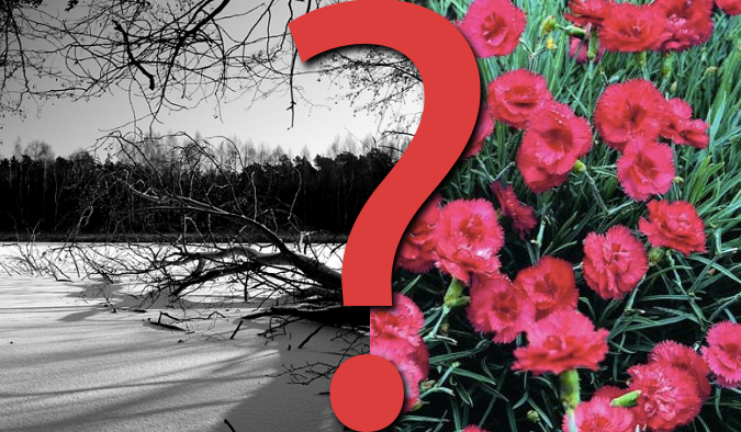 20 pytań z serii „Co wolisz?”