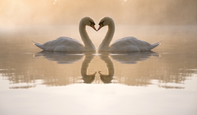 Na ile procent jesteś w nim zakochana/y ?