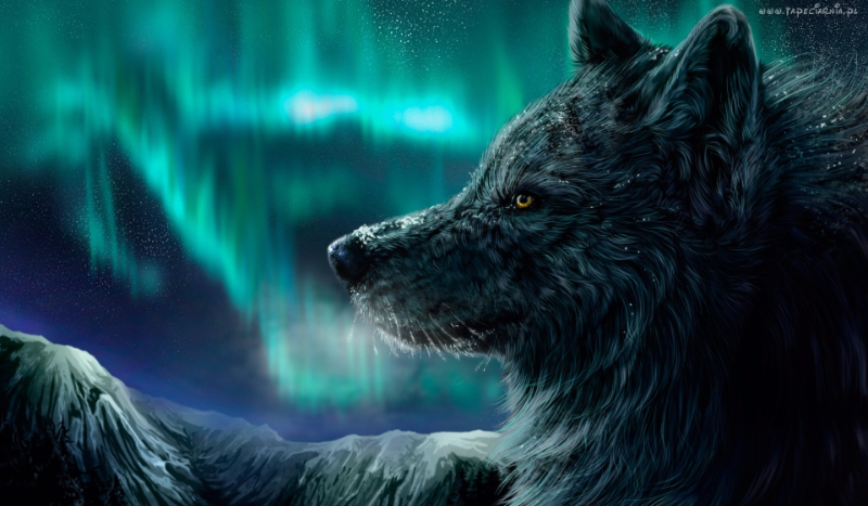 Jakim Wilkiem Jesteś?