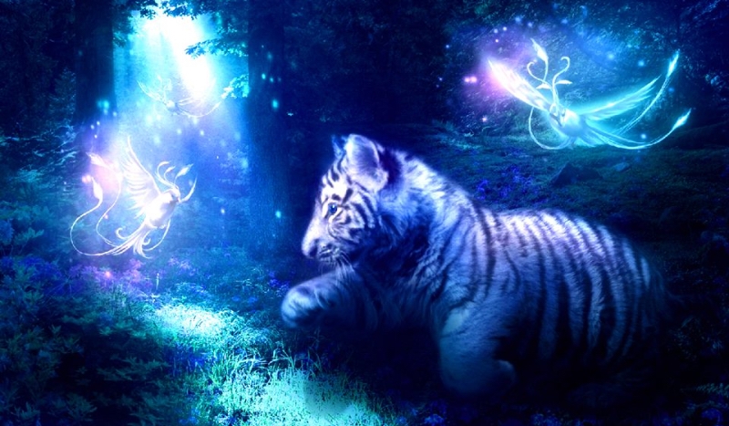 jakim zwierzęciem jest twoja dusza ?