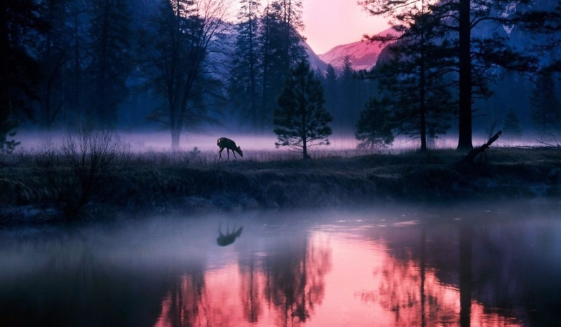 Obóz Przetrwania #3