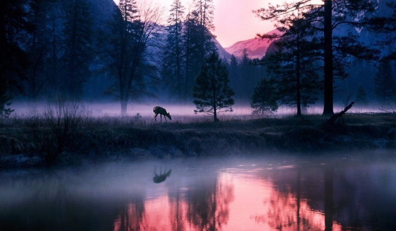 Obóz Przetrwania #2