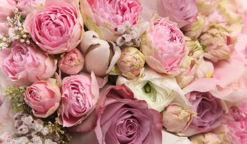 Jakim kwiatem jesteś?