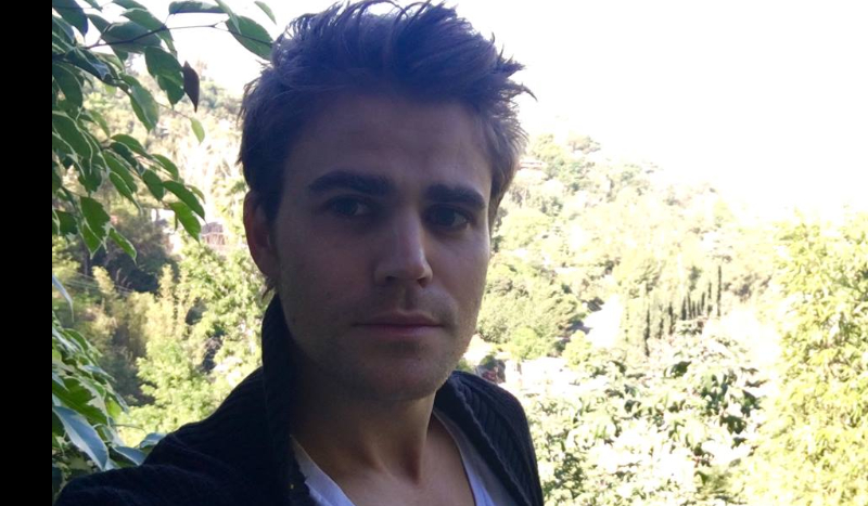 Jak dobrze znasz Paula Wesleya?