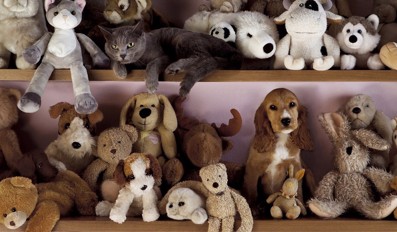 Jaka maskotka do ciebie pasuje?