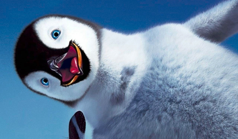 Jesteś podobnieszy do królika czy do pingwina?