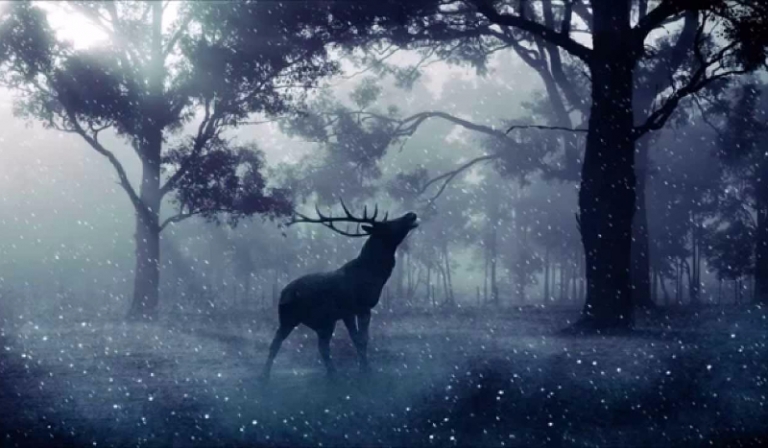 Co wolisz ? Trudne pytania