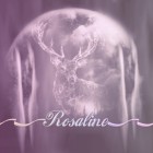 __Rosaline__