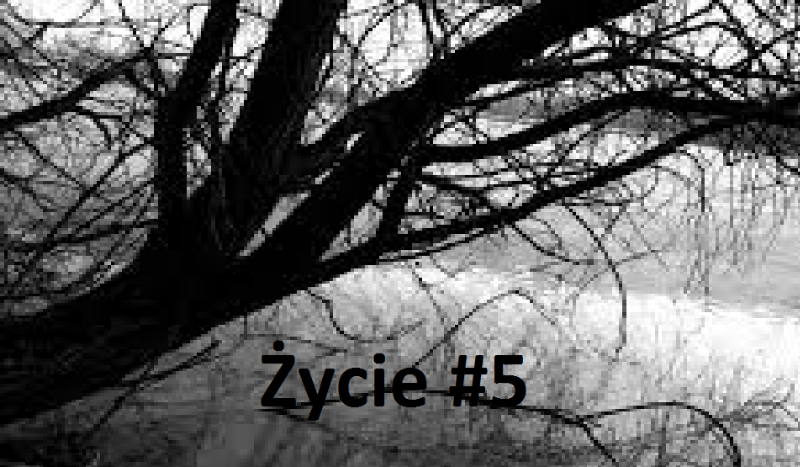 Życie #5