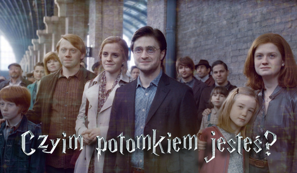 19 lat później… Czyim potomkiem jesteś?