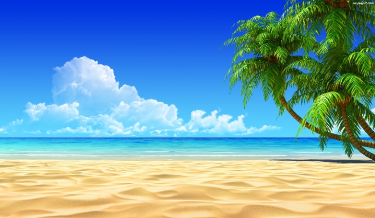 Wybierz numer, powiem ci jakie wyzwanie zrobisz na Plaży.