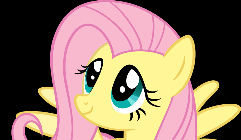 Wakacje z kucykami #2