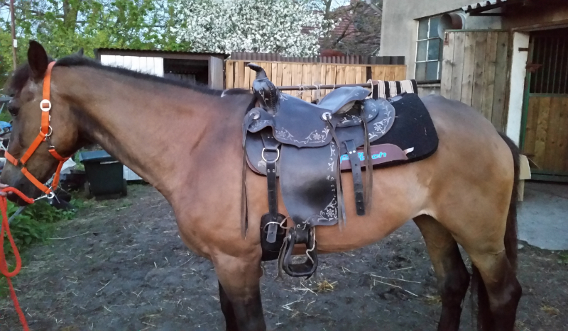 Twoja przygoda z B&M