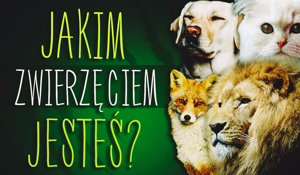 Jakim zwierzęciem jesteś?