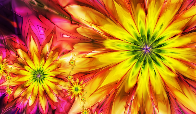 jaką dziewczynę kochasz?