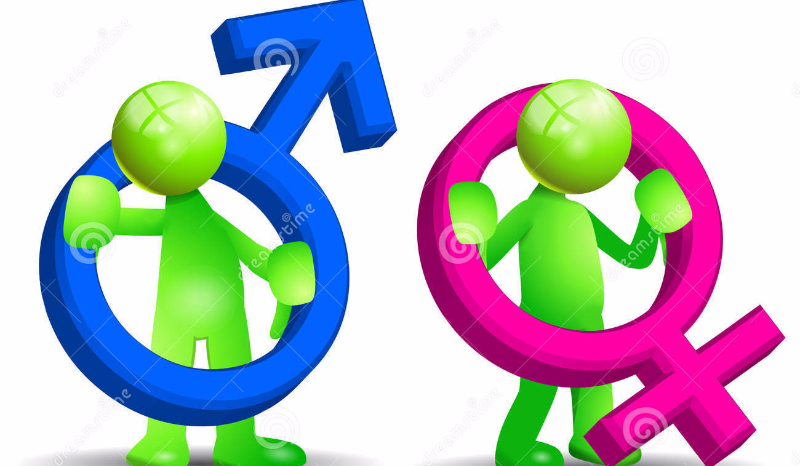 zgadnę twoją płeć